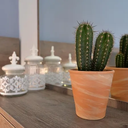 Aegean Blue & * Λεπτοκαρυά