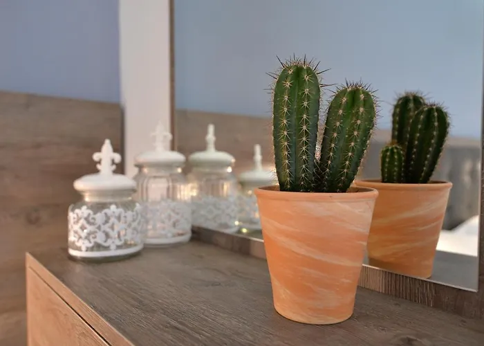 Aegean Blue & * 乐托卡亚